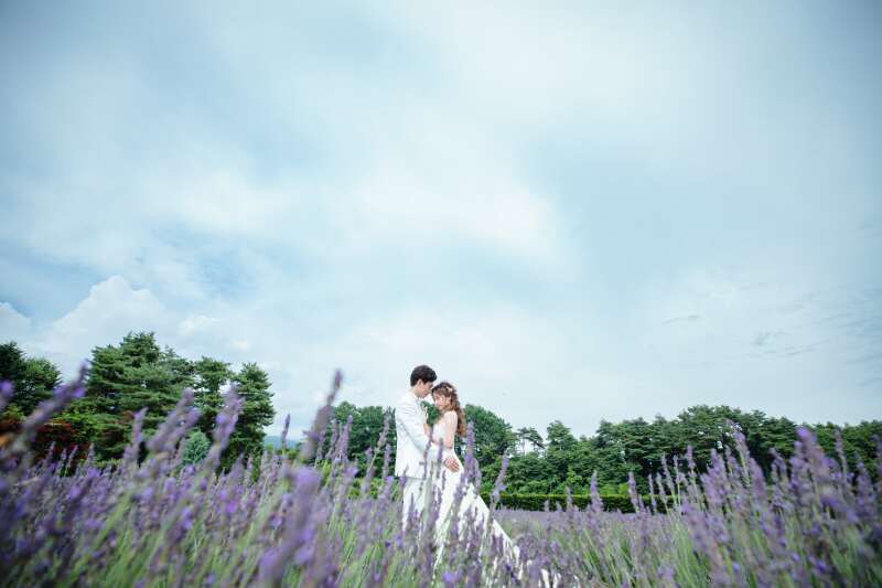 軽井沢のラベンダー畑