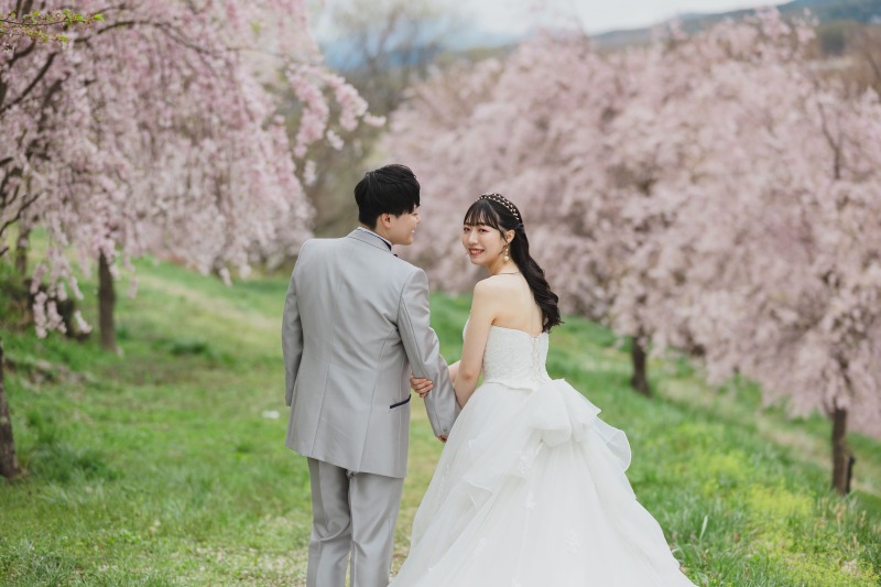 飯綱山で桜と緑と
