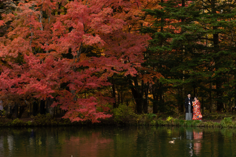 真っ赤に燃える紅葉