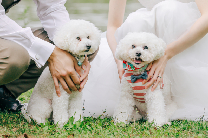 白くて、ふわふわ。