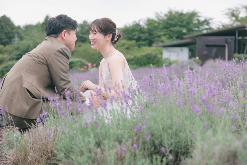 夢ハーベスト農場