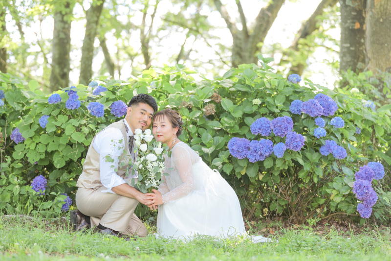 大人カラーの紫陽花