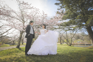 軽井沢の桜ロケーション＊