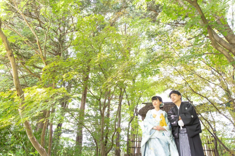 視界いっぱいのもみじ