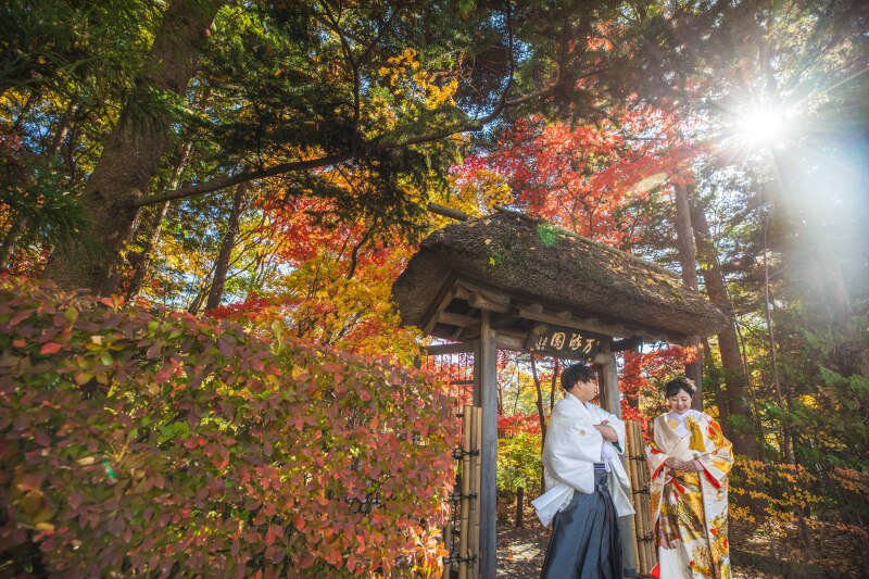 紅葉の隙間から