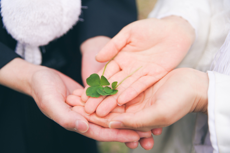 四葉のクローバー