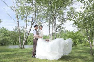 新緑のタリアセン