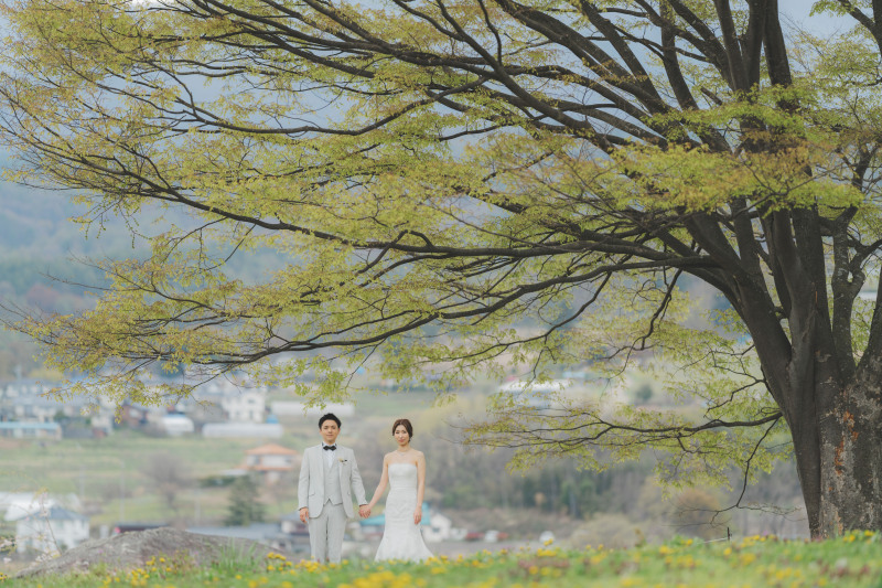 飯綱山公園の桜9