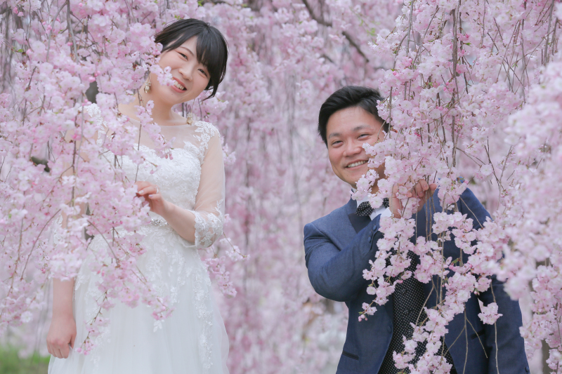 桜&times;飯綱山ロケ