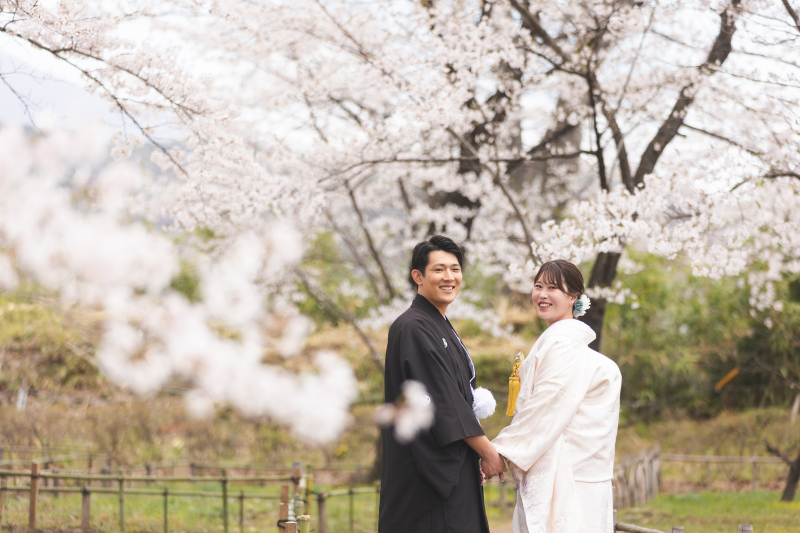 桜ロケーション和装