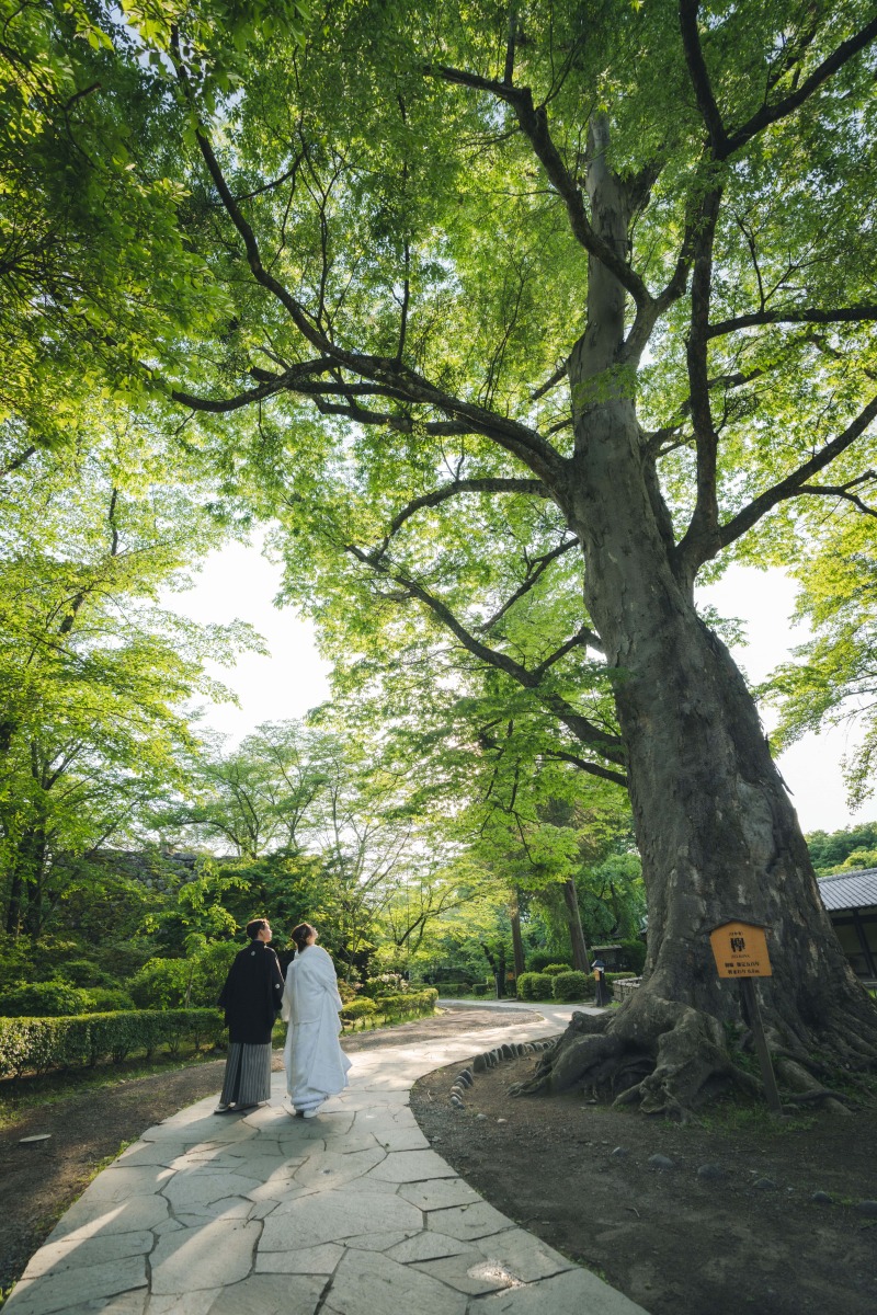 和装は小諸懐古園