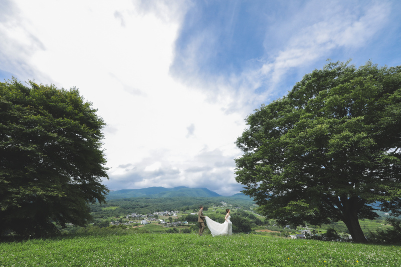 壮大な景色の中で
