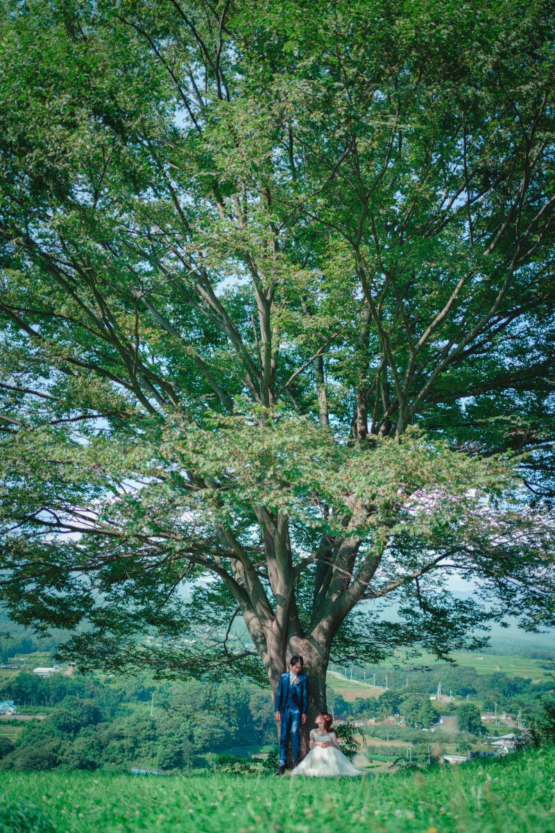 大きな木の下で