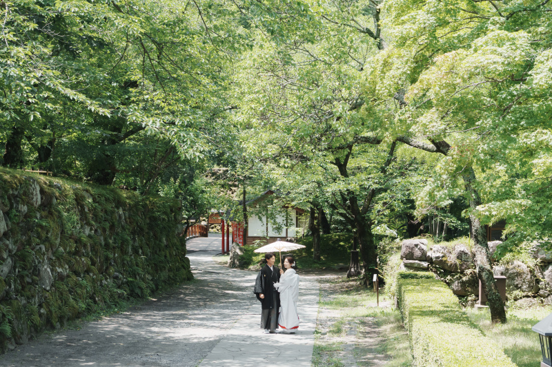 遠くからの写真