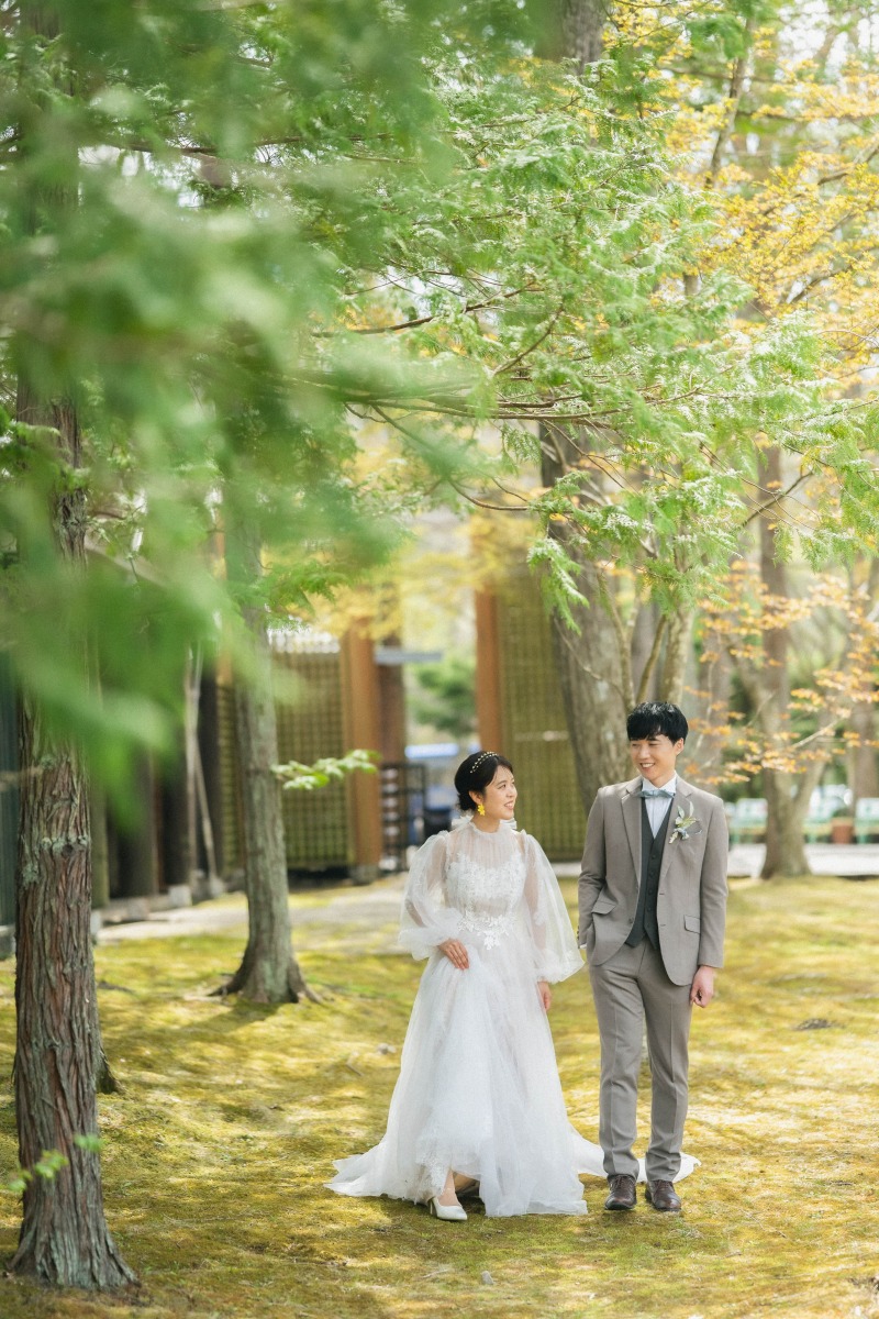 柔らかな日差しが森の中に差し込み