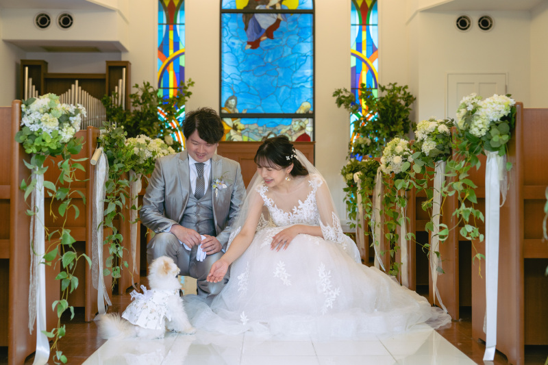 わんちゃんと一緒に！