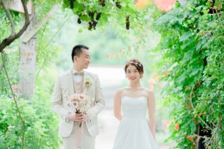 夢ハーベスト タリアセン