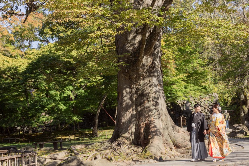 自然に囲まれて