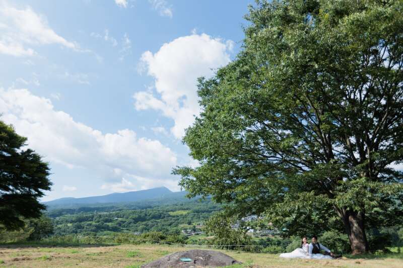 大きな木の下で