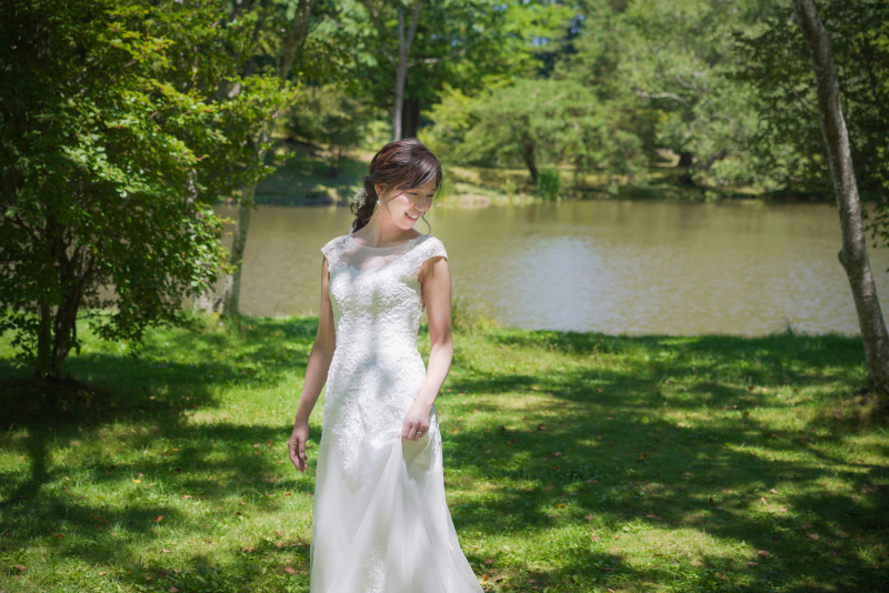 美しい木漏れ日と