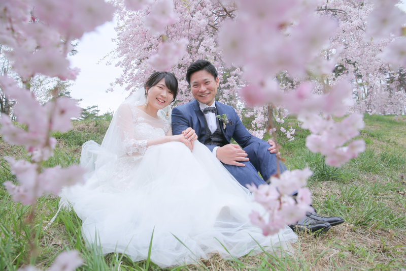 桜のカーテン。