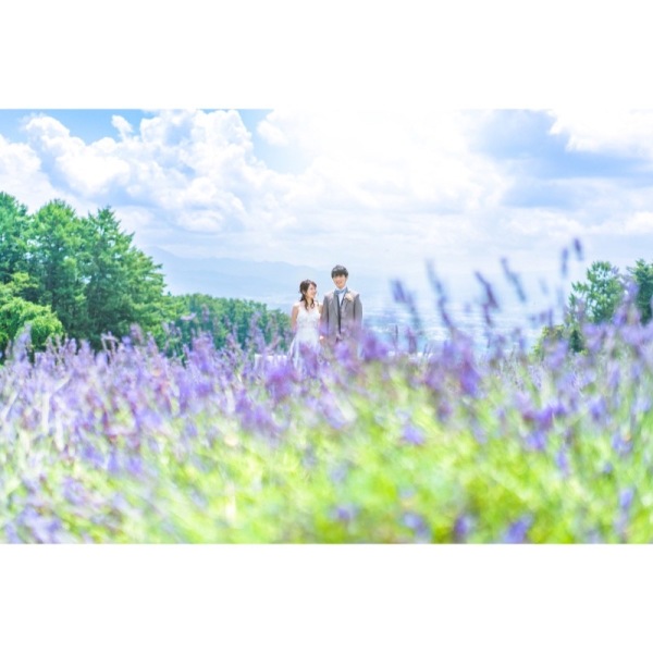 軽井沢のラベンダー④