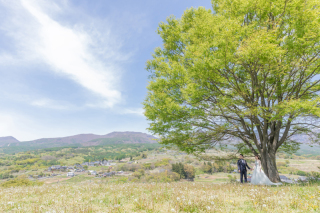 5月　撮れたて★　和装洋装ロケーション