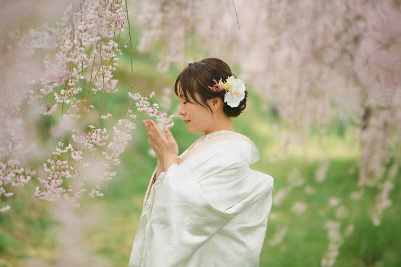 桜&times;和装