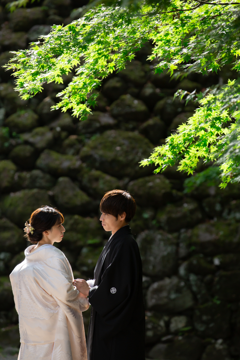 夕日の日差しが綺麗でした