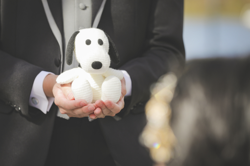 登場したのは...