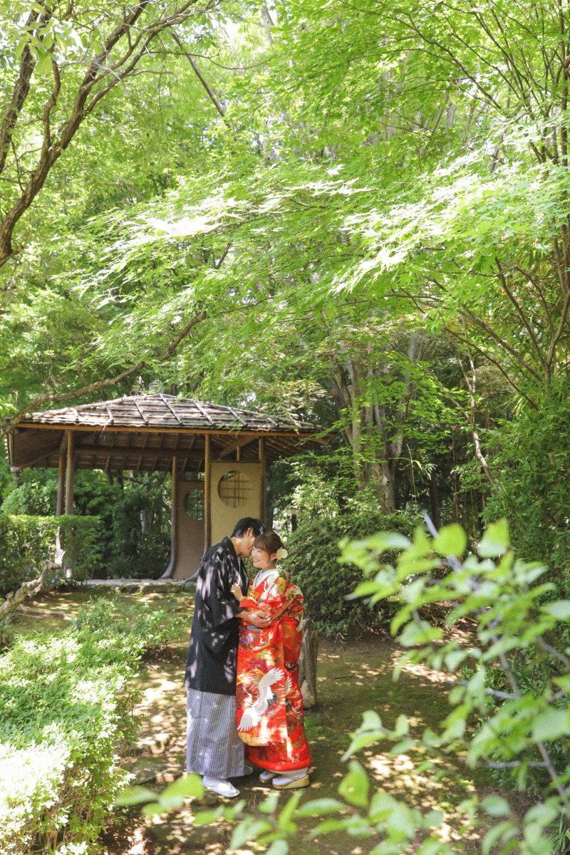 木漏れ日がとっても綺麗。