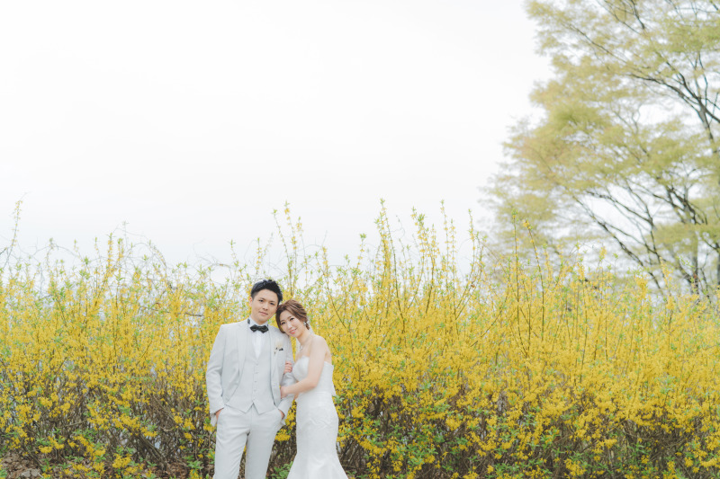 飯綱山公園の桜8