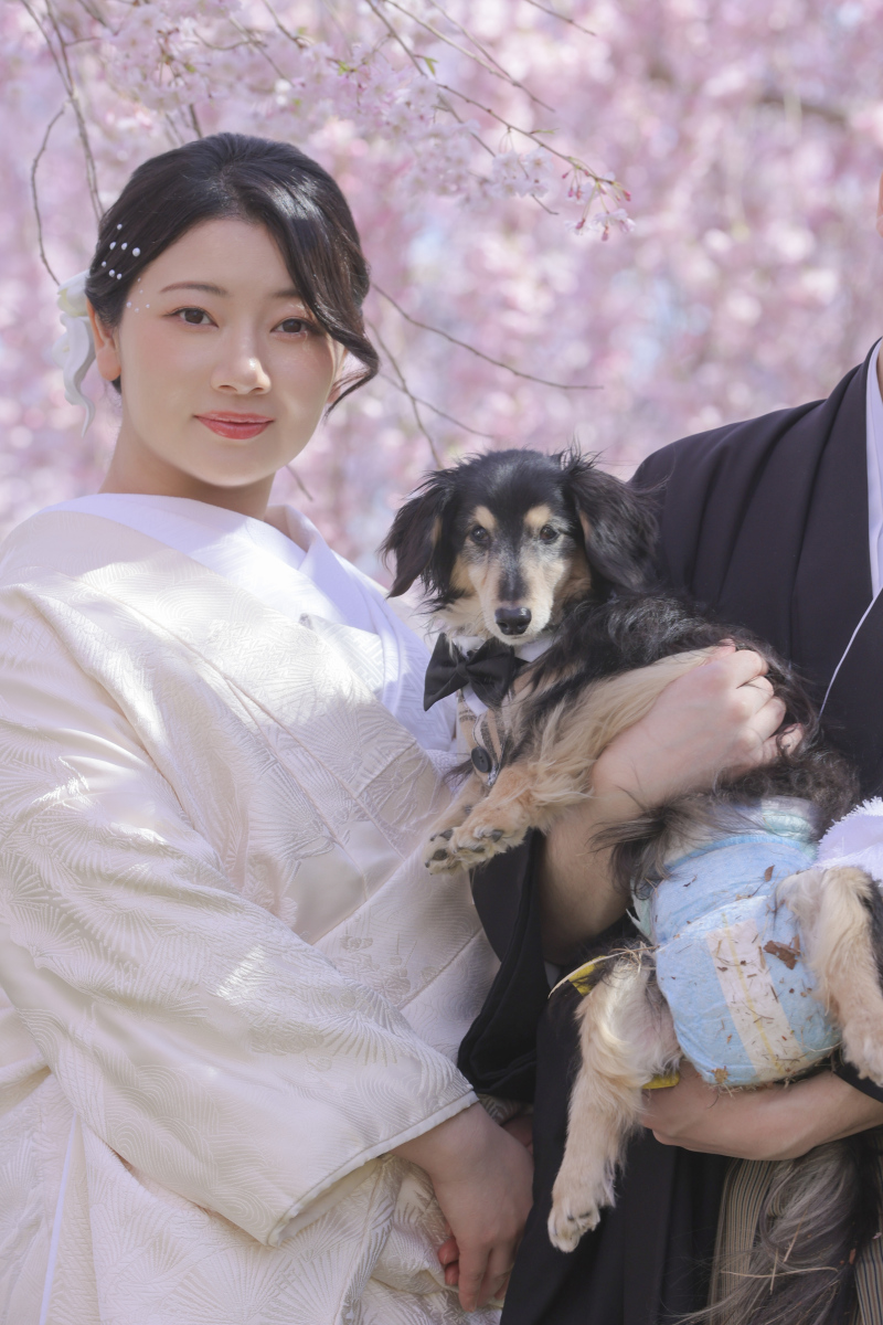 ご新婦様編。
