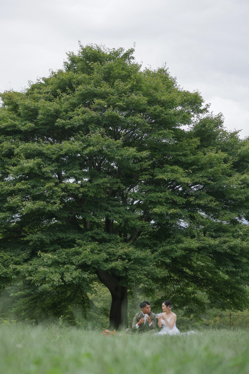 飯綱山公園の緑に囲まれて