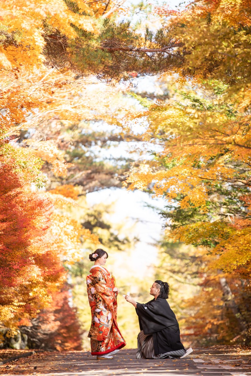 和装紅葉、小諸懐古園