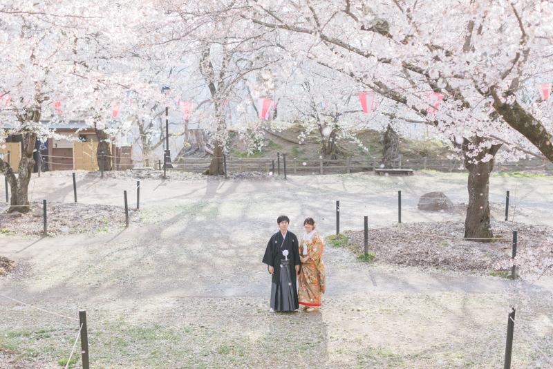 たくさんの桜と♪