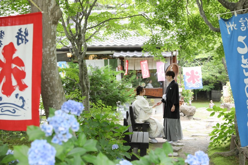 お二人と紫陽花とかき氷