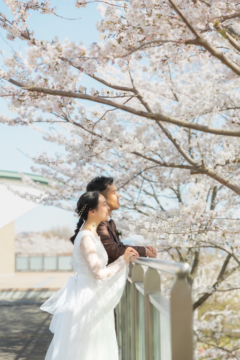 桜の木