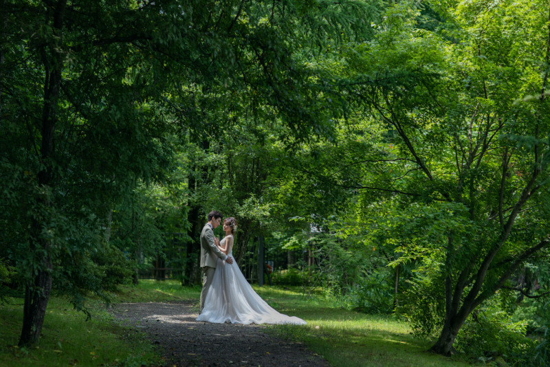 緑の中の木漏れ日