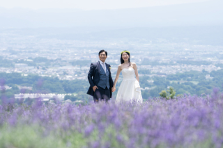 夢ハーベスト農場・タリアセン