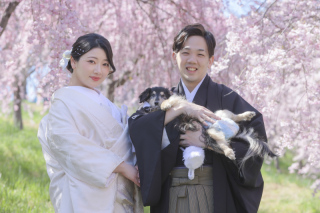 愛犬と一緒にお花見！