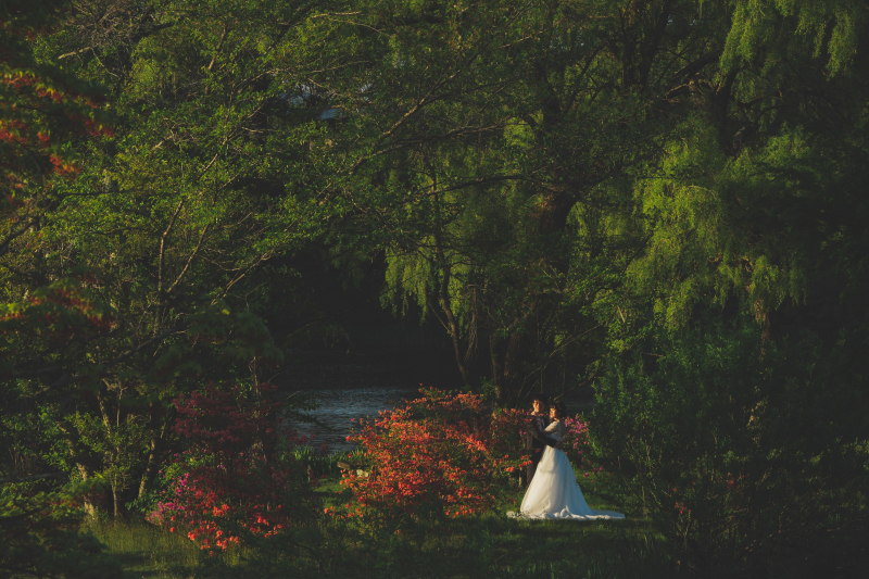 和装＋洋装プラン10