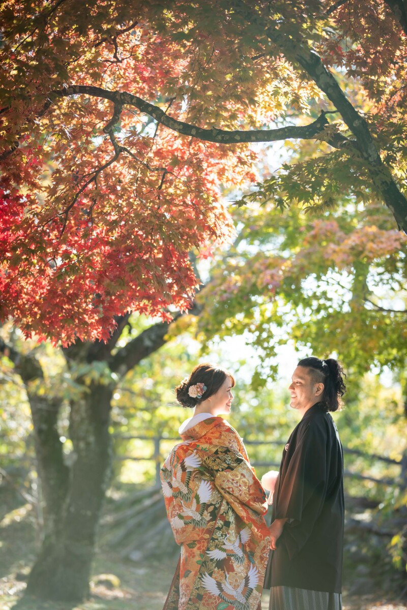 ふわっとした光