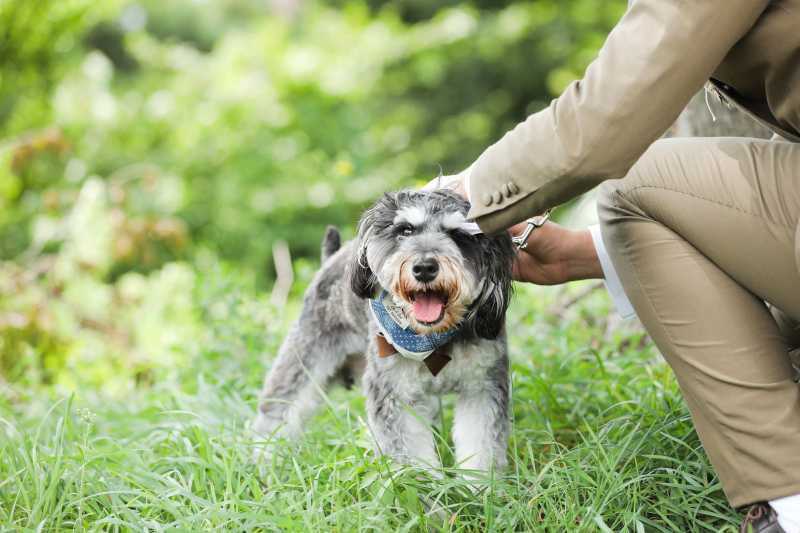 この日の撮影は撮っても可愛いスケットも一緒に
