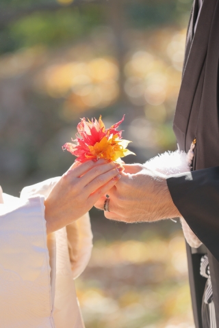 10月31日小諸懐古園