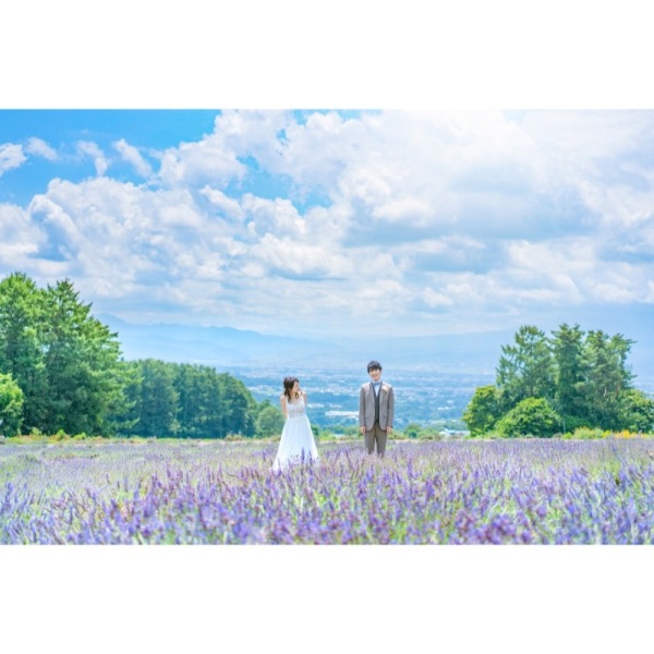 ラベンダー畑♪