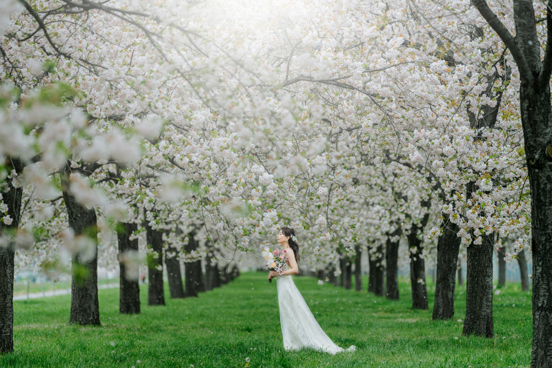 新婦様ソロカット