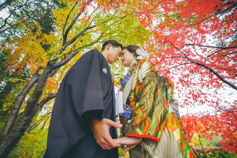 色がとても綺麗