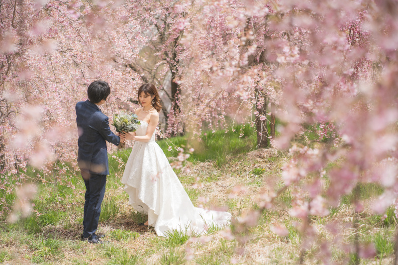 春の景色がふたりを祝福してます。