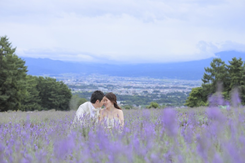 7月〜8月に撮れる！緑とラベンダー！